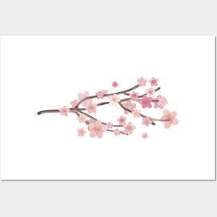 Pink Cherry Blossom Branch Posters and Art